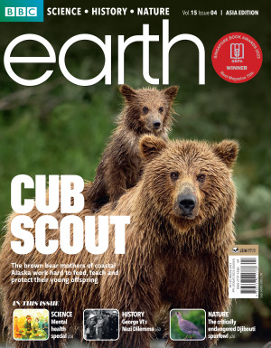 BBC Earth Magazine: Cub Scout (Vol.15 Issue 4)